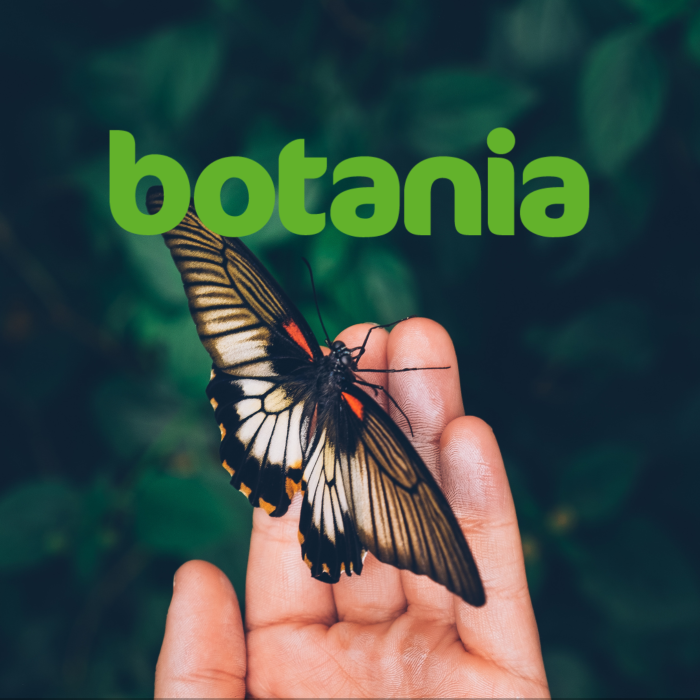 Botania alennus pääsylipusta Lietsun majoittujille